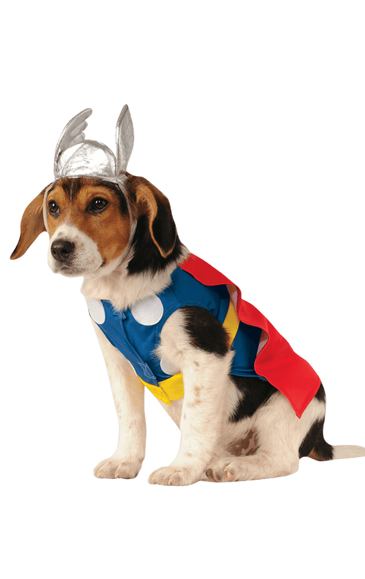 Déguisement de chien de Thor