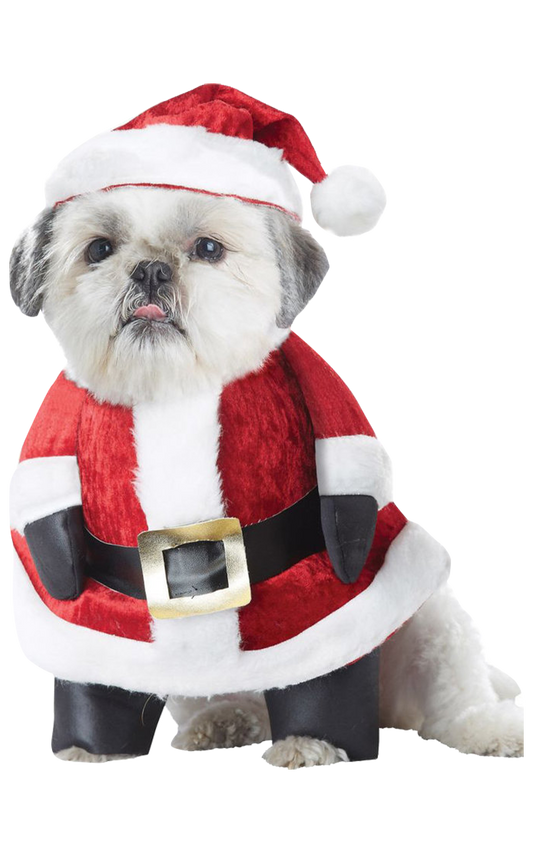 Santa Paws Christmas Dog Costume