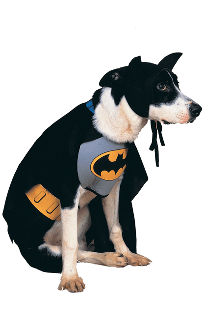 Batman Dog Costume