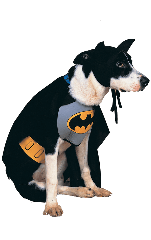 Batman Hundekostüm