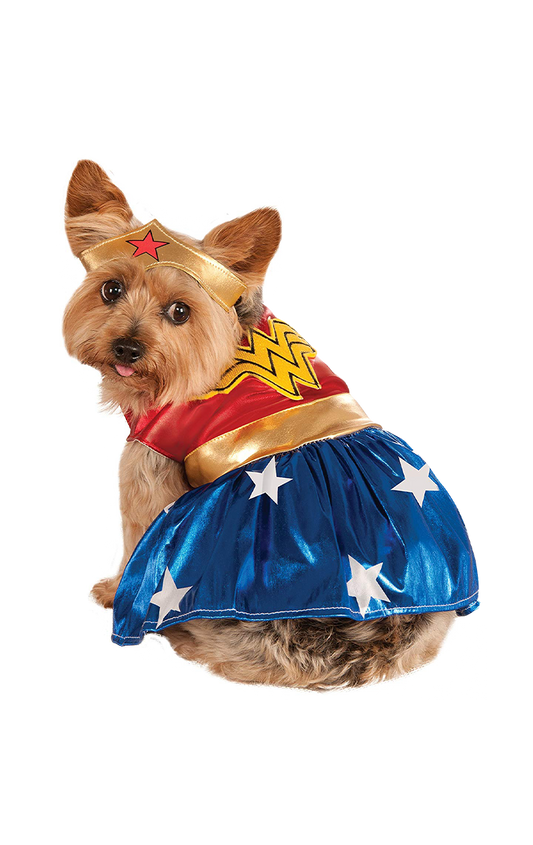 Déguisement Wonder Woman pour chien