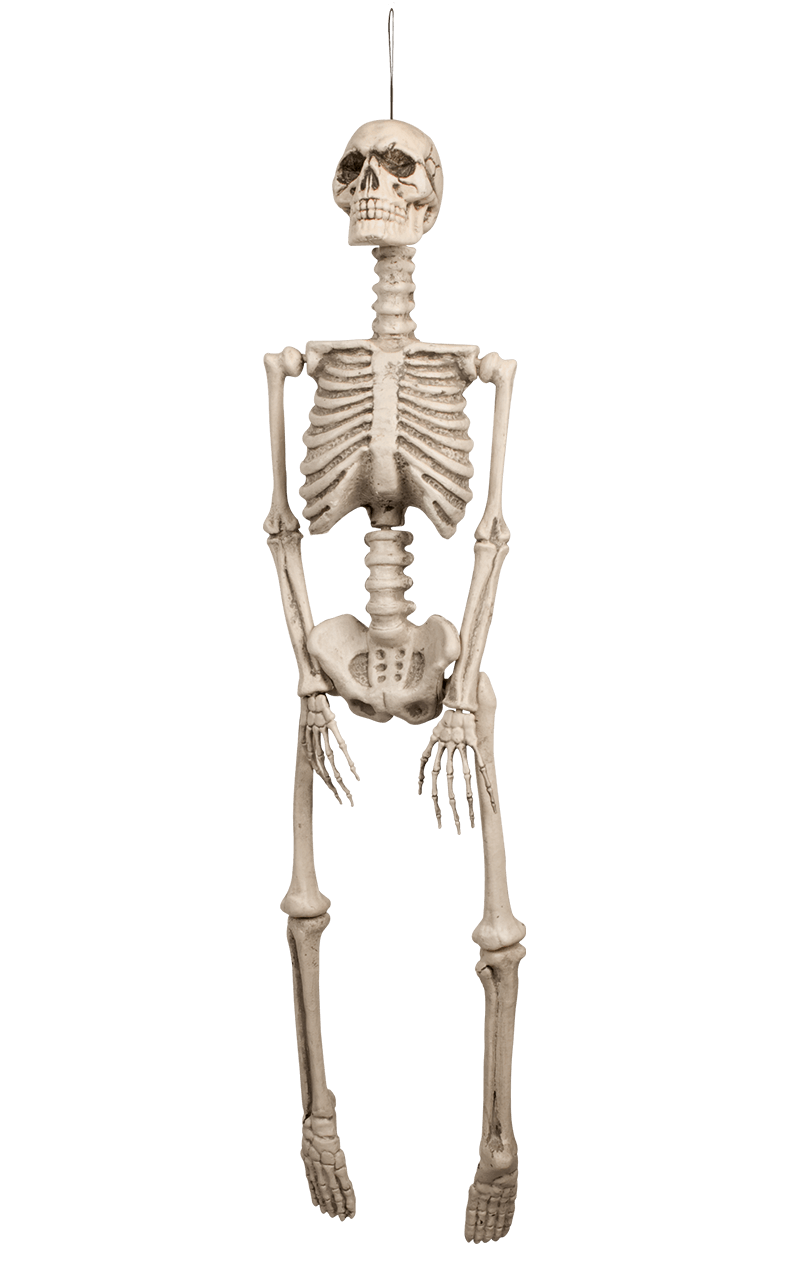 Skeleton Halloween Decoration