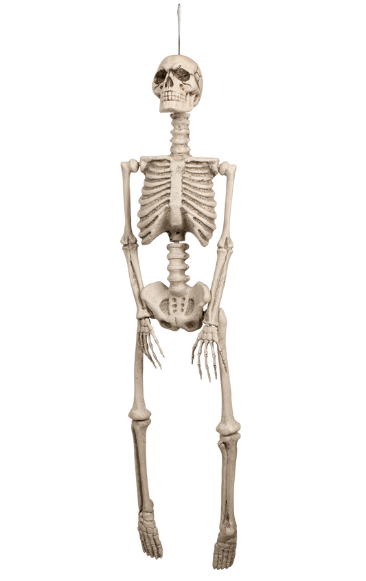 Skeleton Halloween Decoration