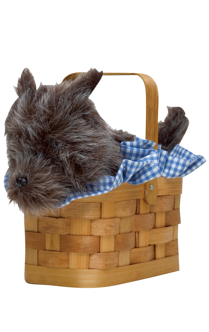 Wizard of Oz Toto Handbag Basket Accessory