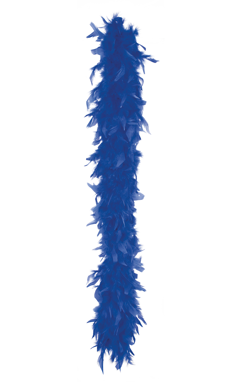 Blue Feather Boa Accessory