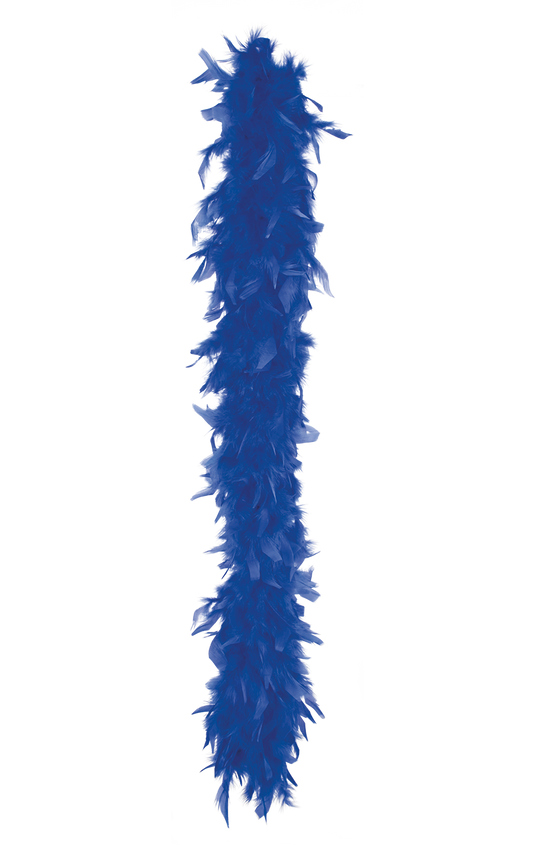 Blue Feather Boa Accessory