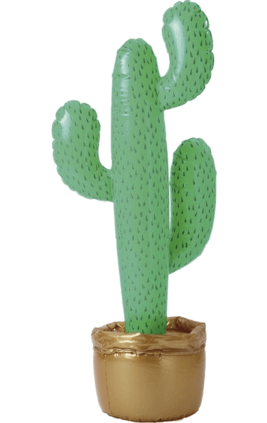 Inflatable Cactus Decoration