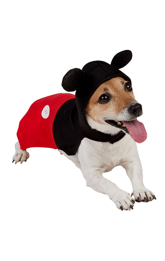 Mickey Mouse Dog Costume