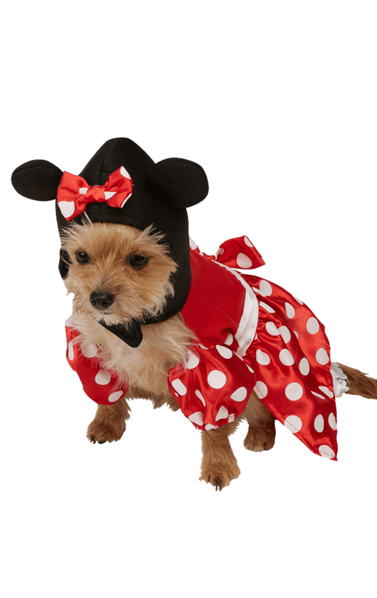 Minnie Mouse Dog Costume