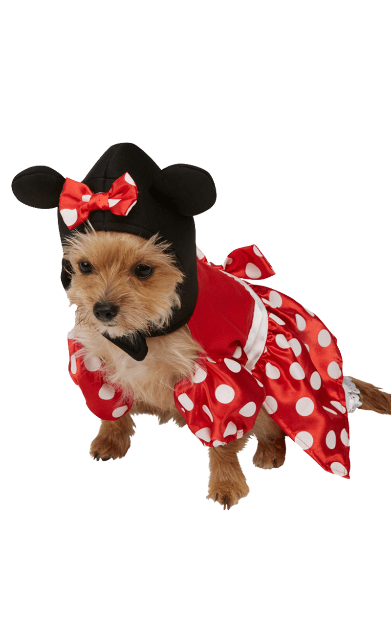 Minnie Mouse Costume, Minnie Mouse Costume Dress, Minnie Mouse Cat Dress  Costume, Red Polka Pet Dress, Red Polka Dot Dog Dress 