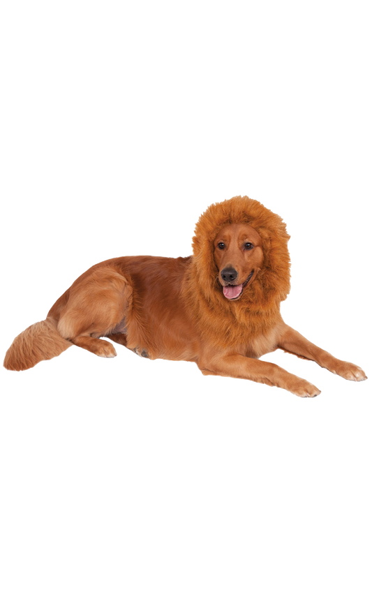 Lion Mane Dog Accessory