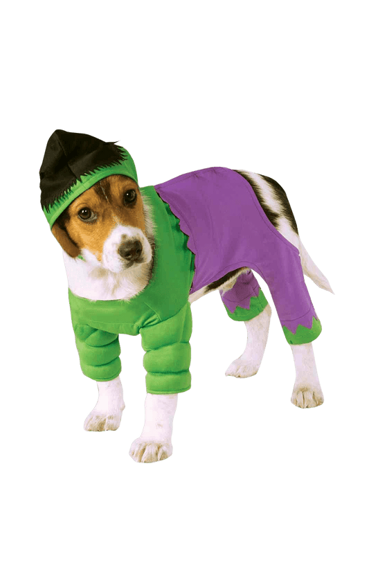 Incredible Hulk Dog Costume