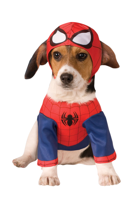 Spider-Man-Hundekostüm