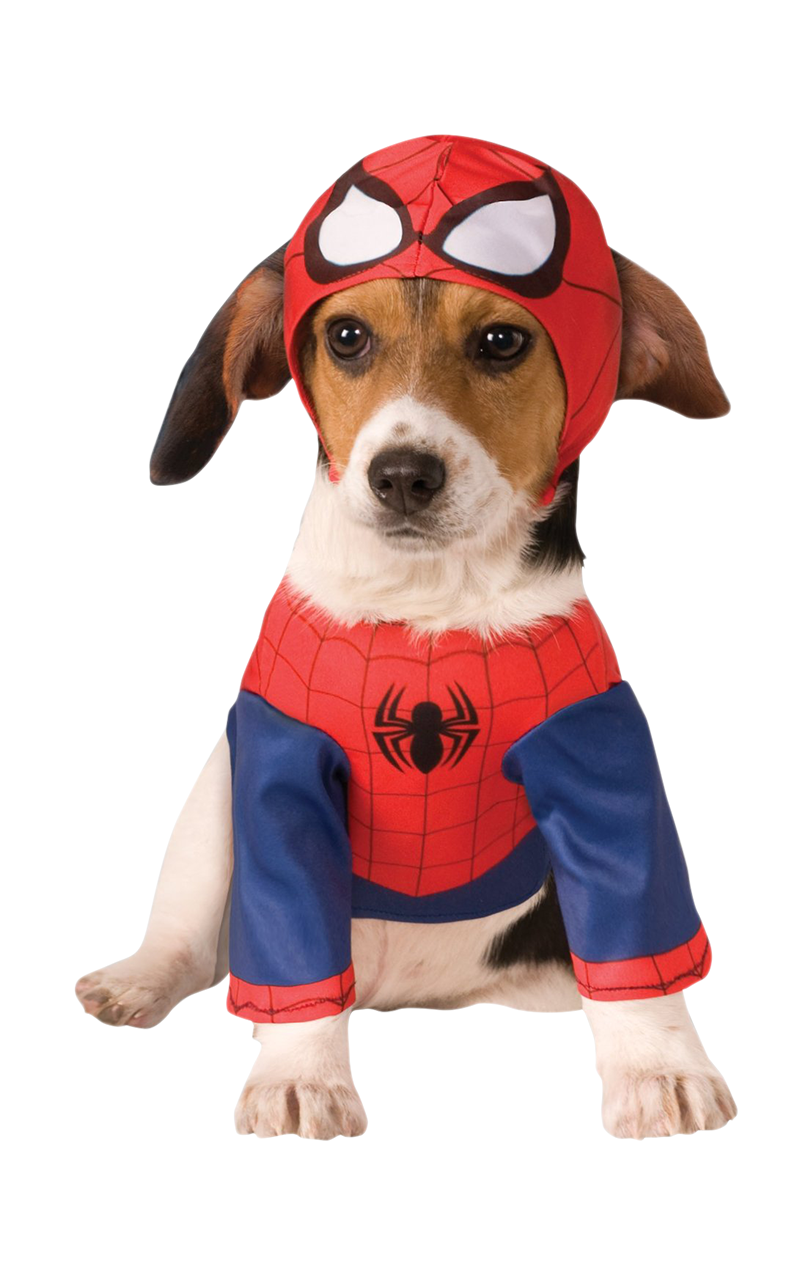 Action Hero Dog Costume