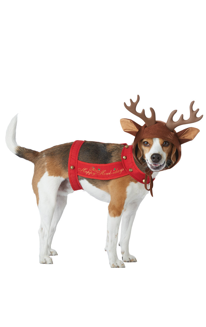 Reindeer Dog Costume