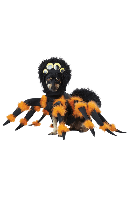 Spider Dog Halloween Costume