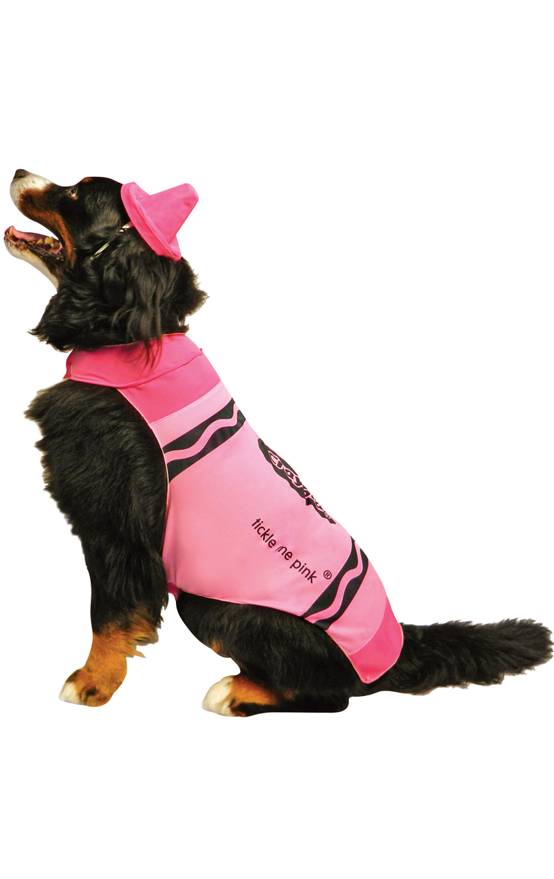 Costume de chien rose Crayola