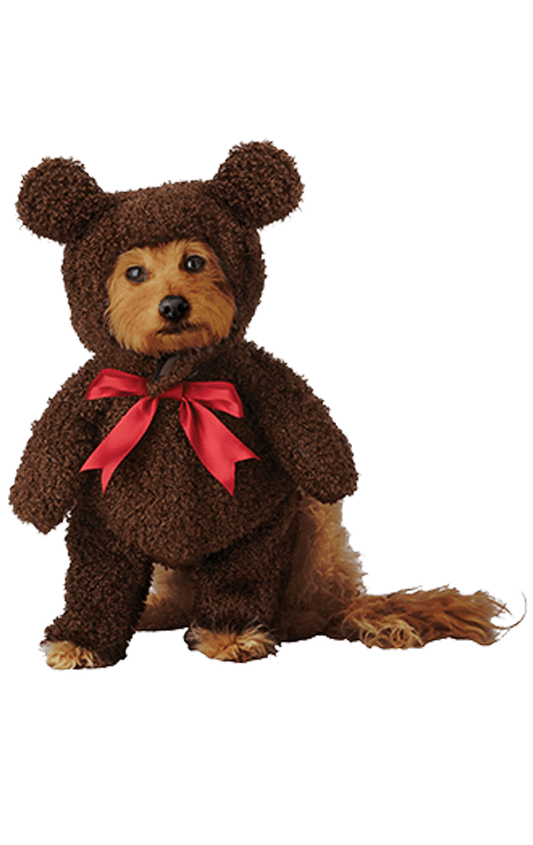 Déguisement d'ours en peluche pour chien