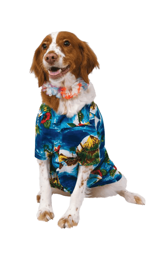 Howliday Hound Dog Costume