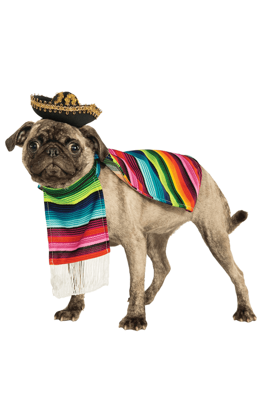 Costume de Chien Mexicain