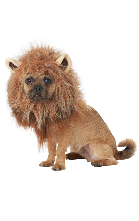 Costume de Roi de la Jungle pour Chien