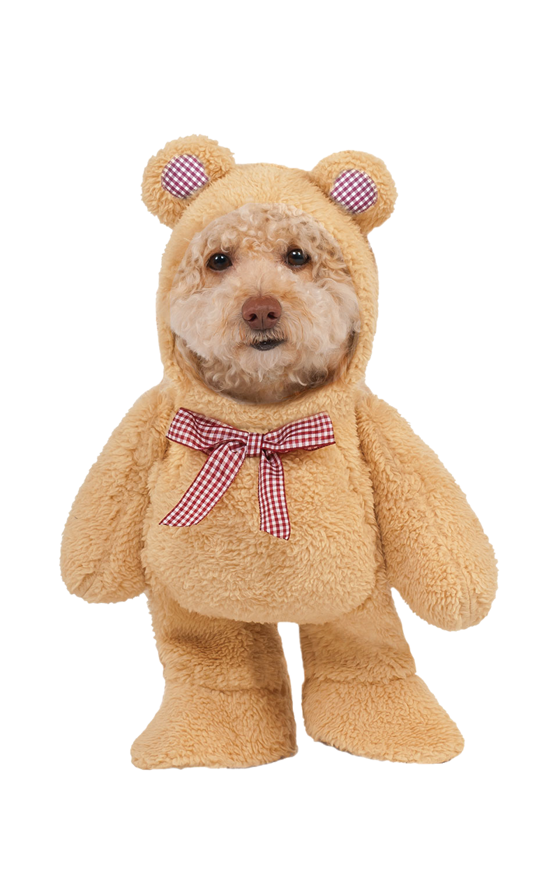 Costume de chien ours en peluche -  