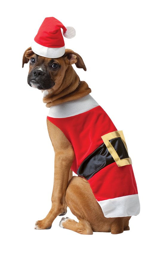 Santa Claws Dog Costume