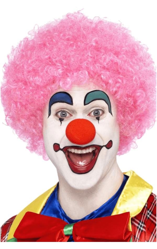 Pink Clown Afro Wig