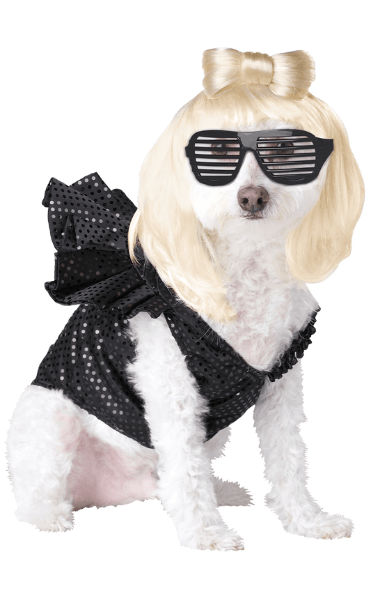 Déguisement Lady Gaga pour chien