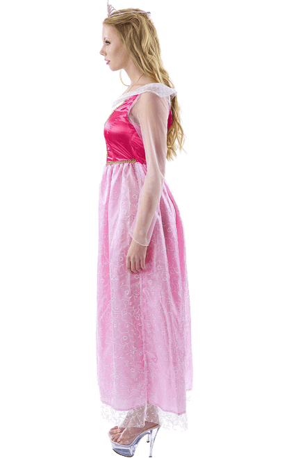 Adult Classic Sleeping Beauty Costume