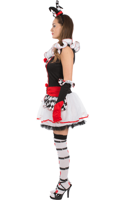 Ladies Harlequin Jester Costume