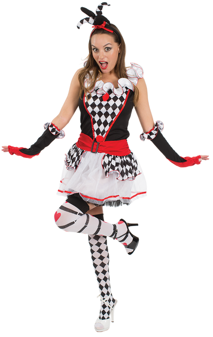 Ladies Harlequin Jester Costume