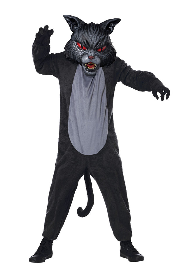 Scary Cat Costume
 Kids Scary Cat Fight Costume fancydress