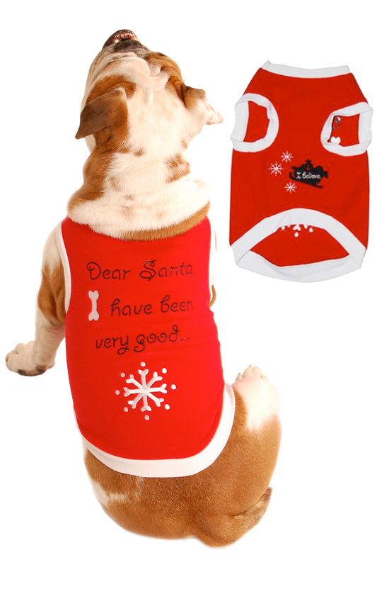 Dear Santa Dog Costume