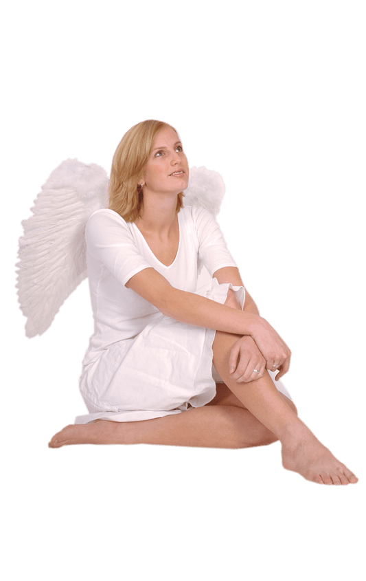 White Angel Wings - Large