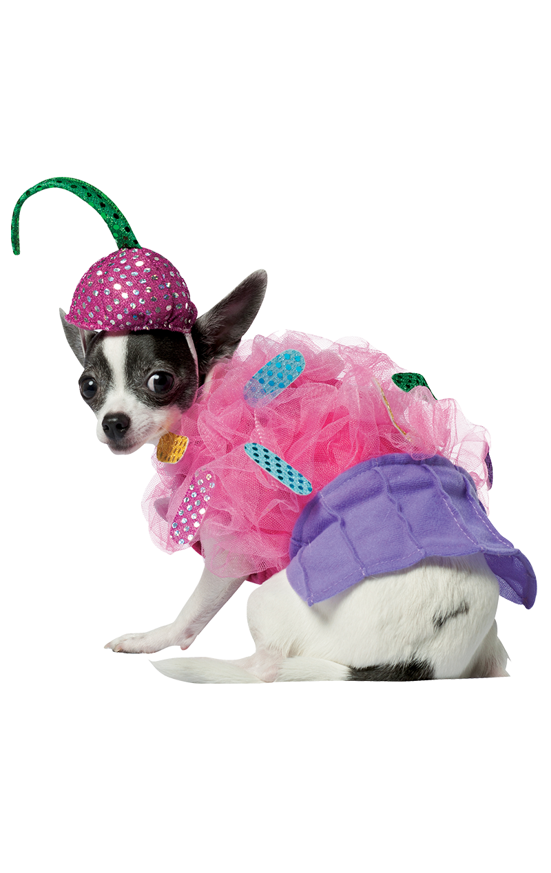 Treat Time Dog Costume