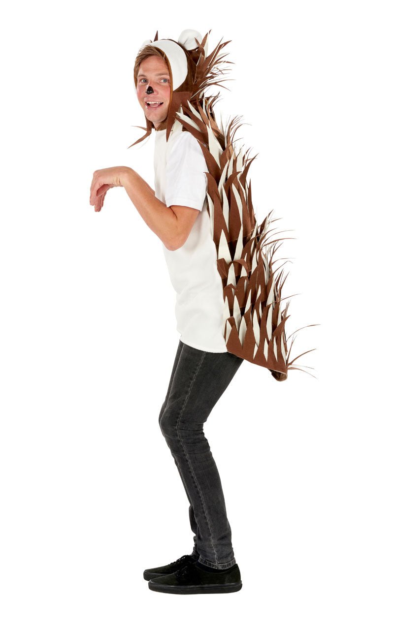 Adult Unisex Hedgehog Costume - Fancydress.com