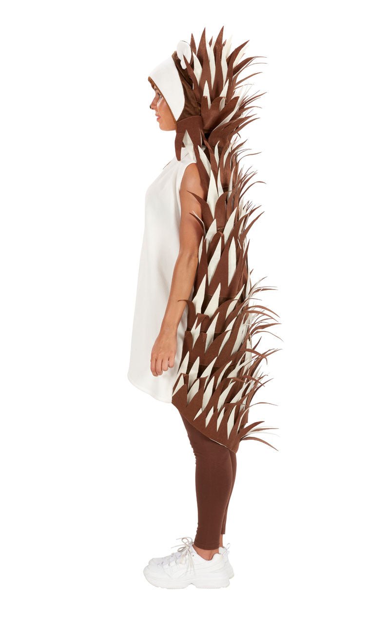 Adult Unisex Hedgehog Costume - Fancydress.com