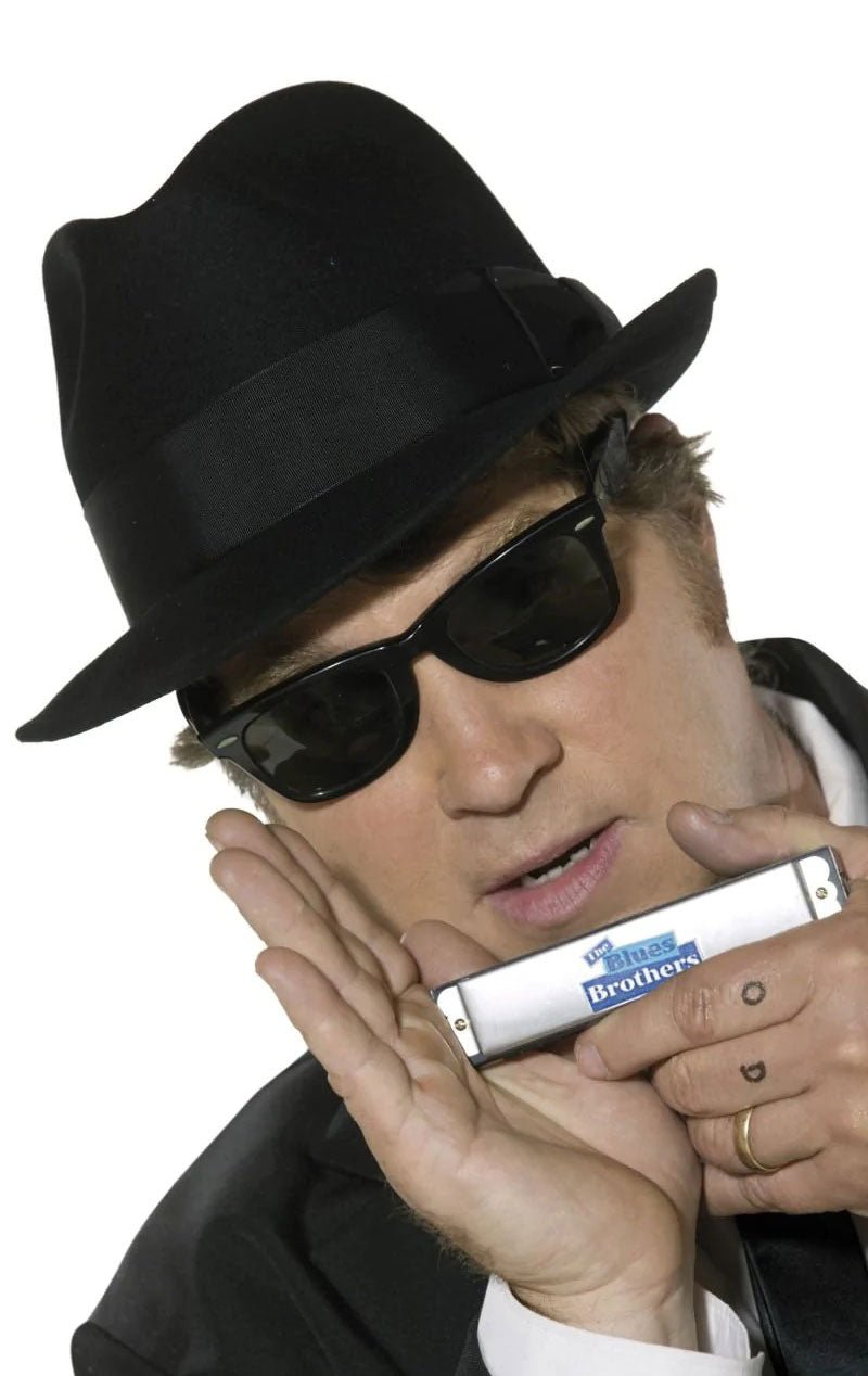 Blues Brothers Accessory Kit - Fancydress.com