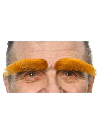 Eyebrows Auburn Accessory - Fancydress.com